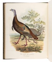 WILSON, Alexander (1766-1813). A merican Ornithology; or, The Natural History of the Birds of the United States . Philadelphia: Bradford and Inskeep, 1808-1814. [ With :] BONAPARTE, Charles Lucian. American Ornithology; Or, the Natural History of Birds Inhabiting the United States. Not Given by Wilson ... Philadelphia: Samuel Augustus Mitchell, Carey, Lea, and Carey, 1825-1833.