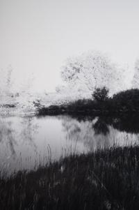 A group of three landscapes