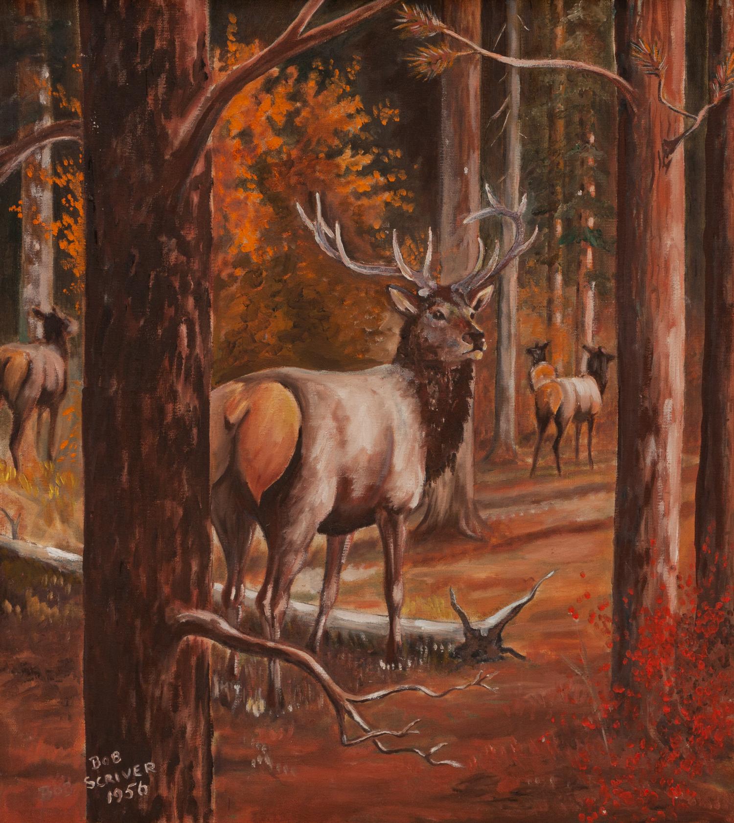 Woodland Stag