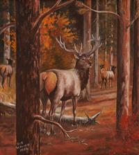 Woodland Stag