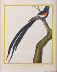 A Set of Four Hand-Colored Engravings After Francois Martinet — 18TH CENTURY