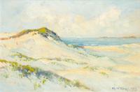 Untitled (Dunes)