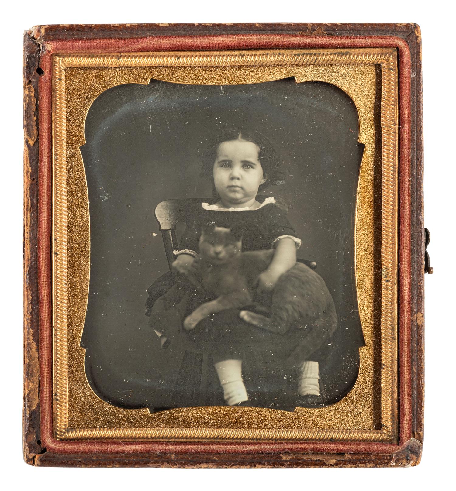 [EARLY PHOTOGRAPHY]. Sixth plate daguerreotype portrait of an adorable young girl holding her gray feline friend in her lap.