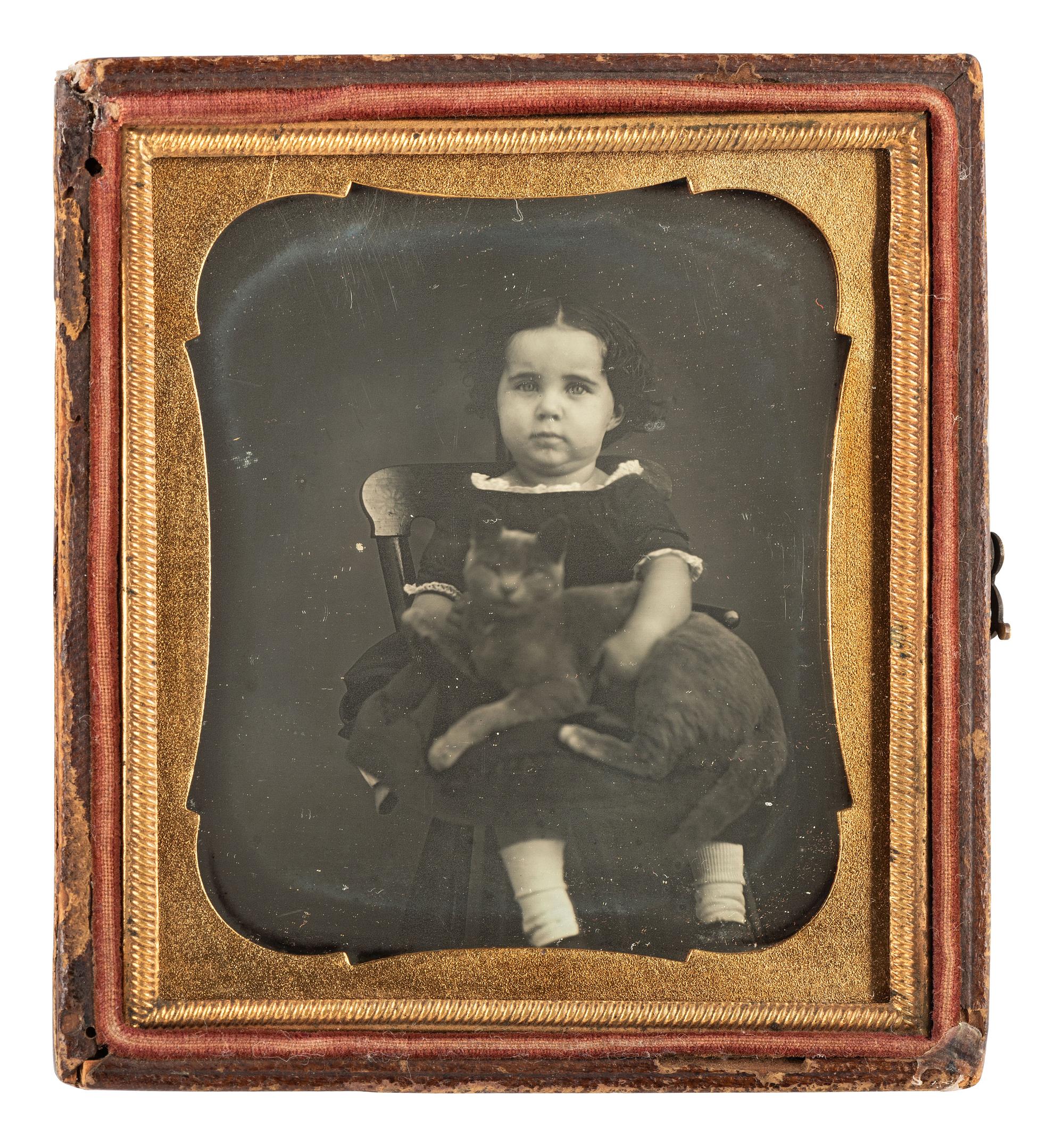 [EARLY PHOTOGRAPHY]. Sixth plate daguerreotype portrait of an adorable young girl holding her gray feline friend in her lap.