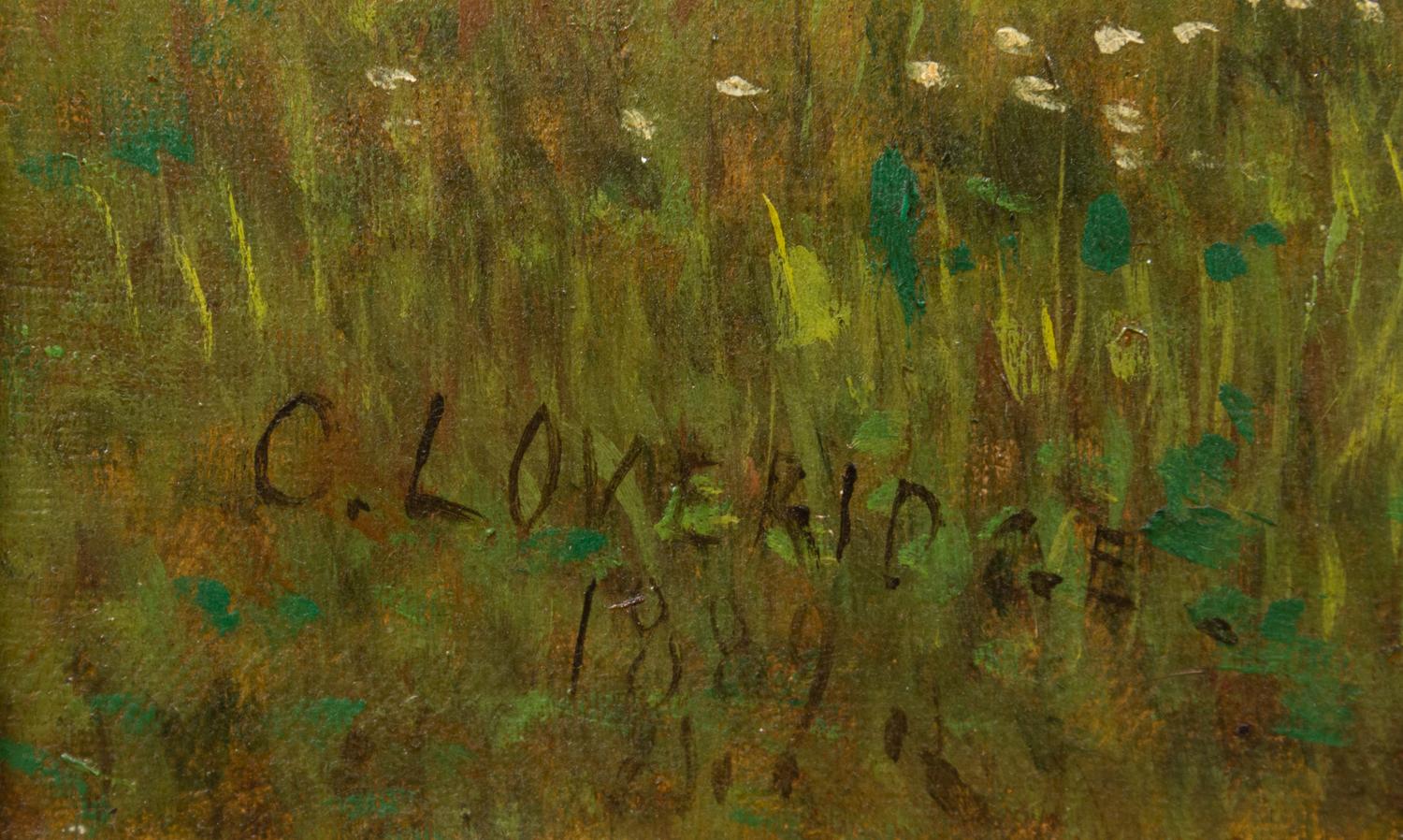 Cows in a Field
