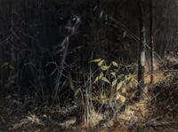 Black Leopard