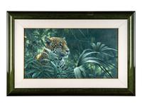 Symbol of the Rainforest- Spotted Jaguar
