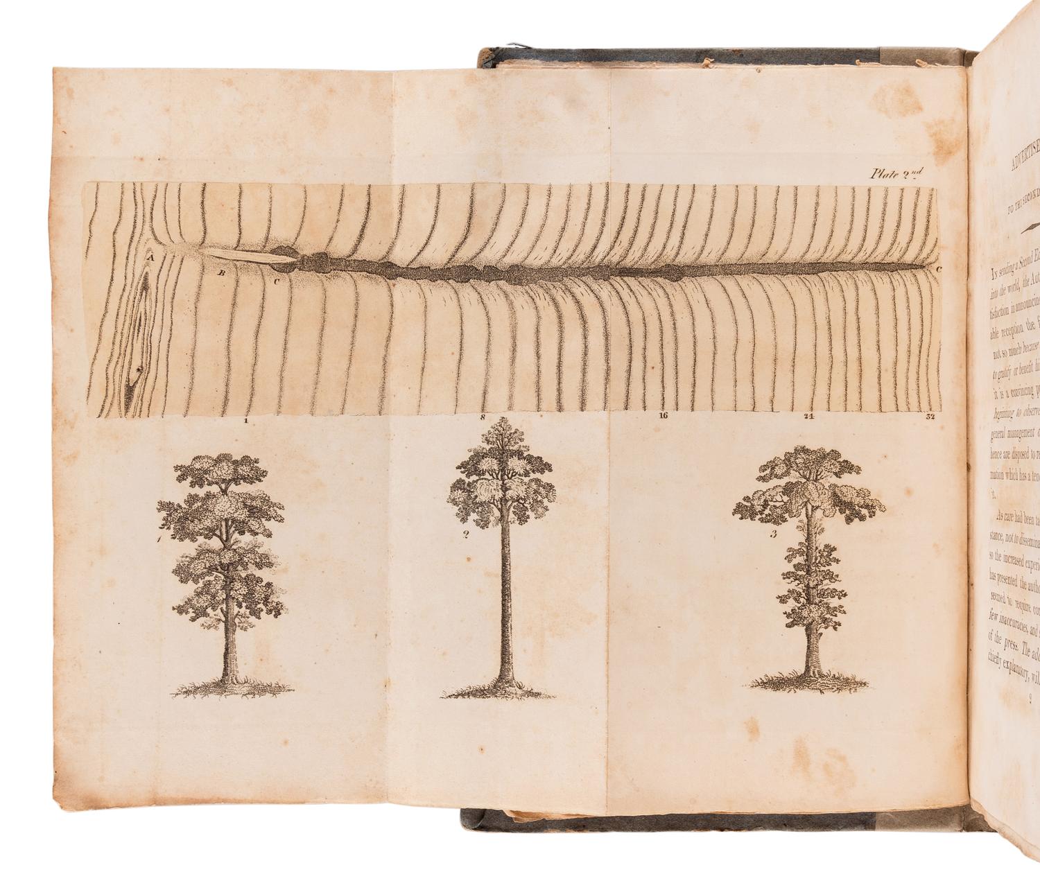 PONTEY, William (fl 1780-1831). The Forest Pruner; Or, Timber Owner’s Assistant: A Treatise on The Training or Management of British Timber Trees; ...with Remarks on the Old and Outlines of a New System of Management of Oak Woods. London: J. Harding, 1810.