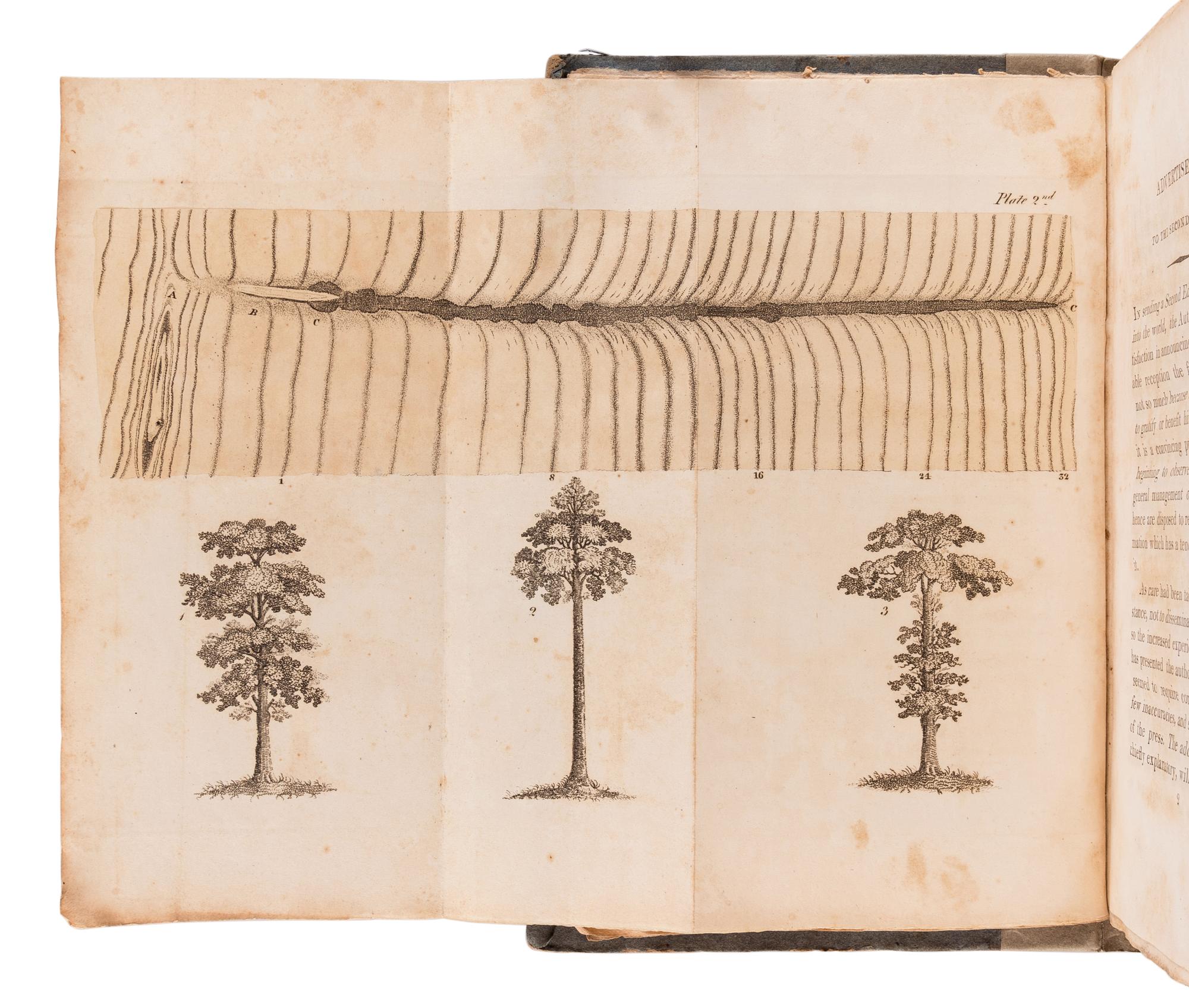 PONTEY, William (fl 1780-1831). The Forest Pruner; Or, Timber Owner’s Assistant: A Treatise on The Training or Management of British Timber Trees; ...with Remarks on the Old and Outlines of a New System of Management of Oak Woods. London: J. Harding, 1810.