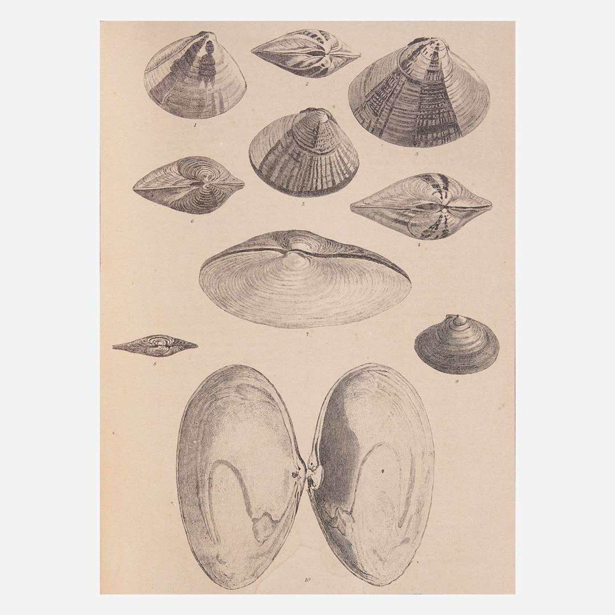 [Americana] [Perry, Commodore Matthew C.] Hawks, Francis L. Narrative of the Expedition of an American Squadron to the China Seas and Japan, Performed in the Years 1852, 1853, and 1854, Under the Command of Commodore M.C. Perry, United States Navy...