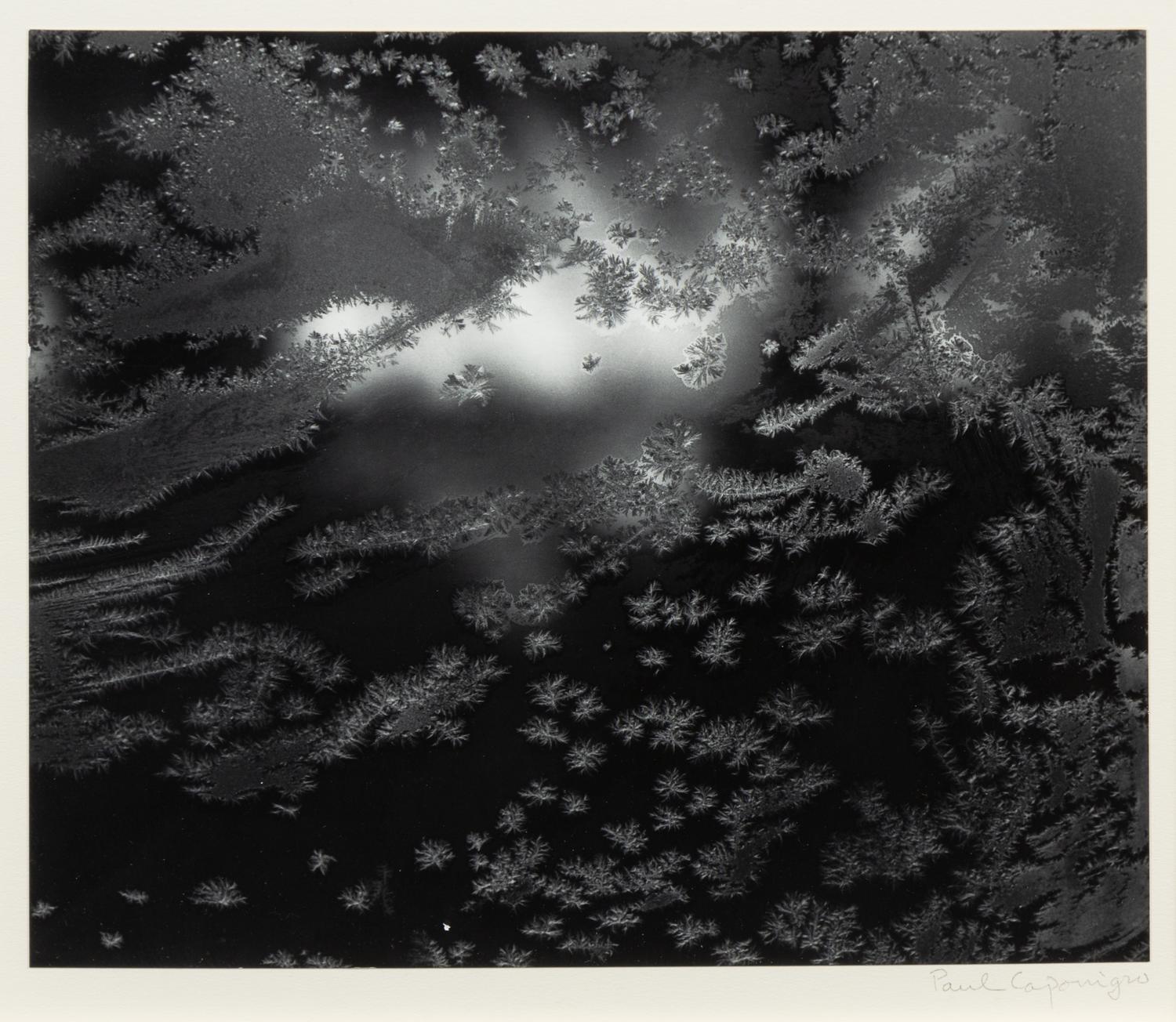 Paul Caponigro, (American, b. 1932), Frost Window #1, 1957