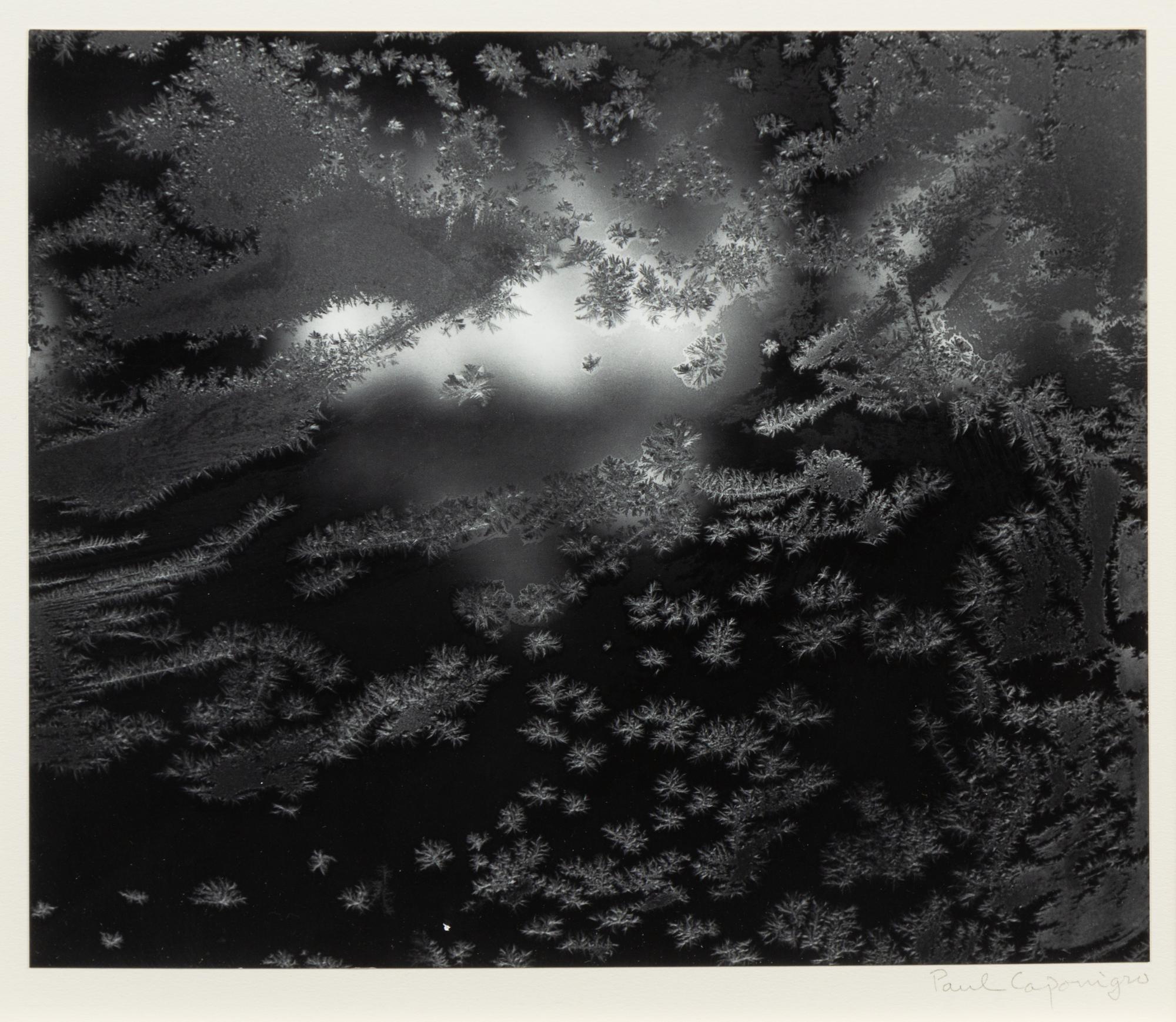 Paul Caponigro, (American, b. 1932), Frost Window #1, 1957