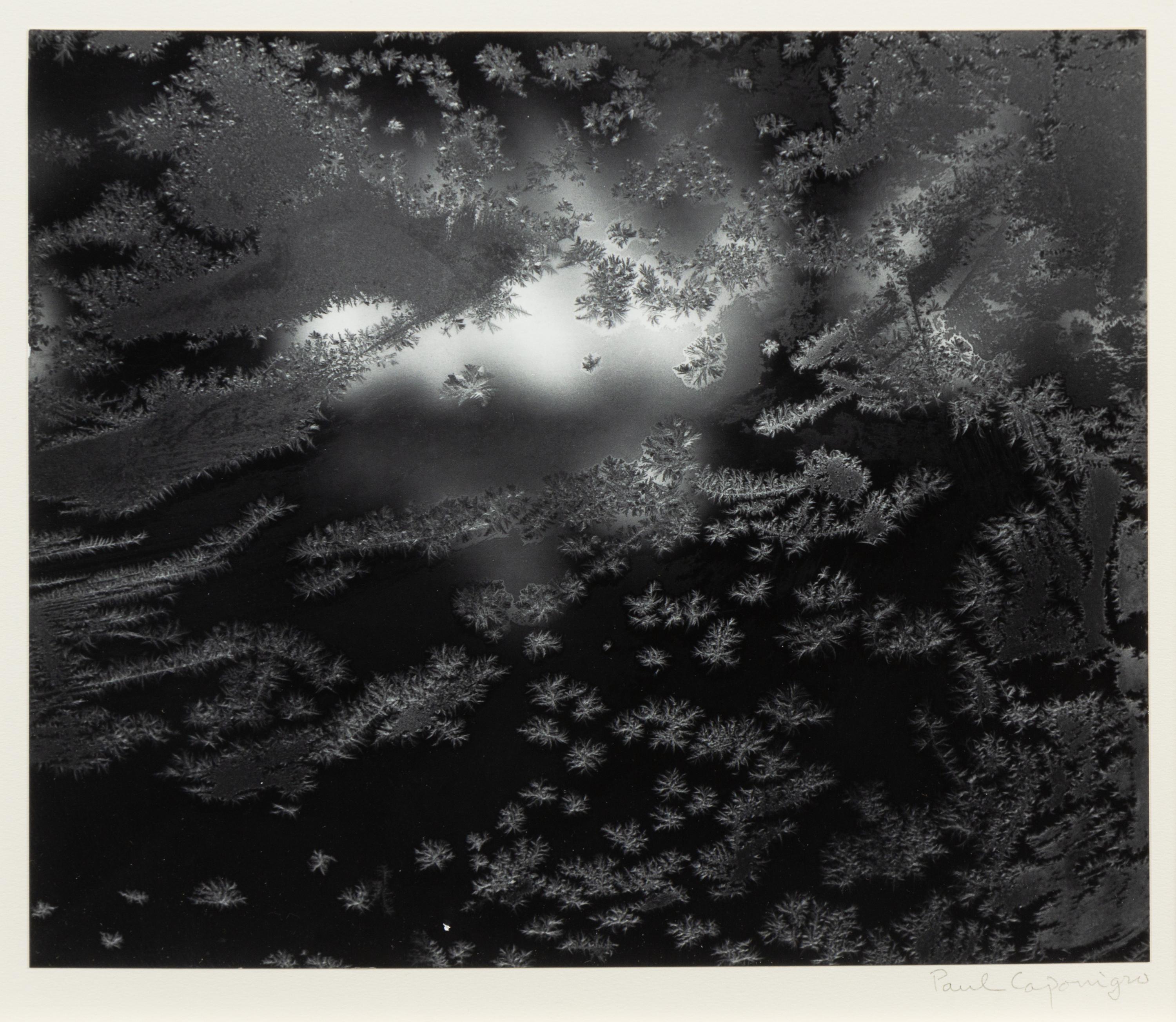 Paul Caponigro, (American, b. 1932), Frost Window #1, 1957