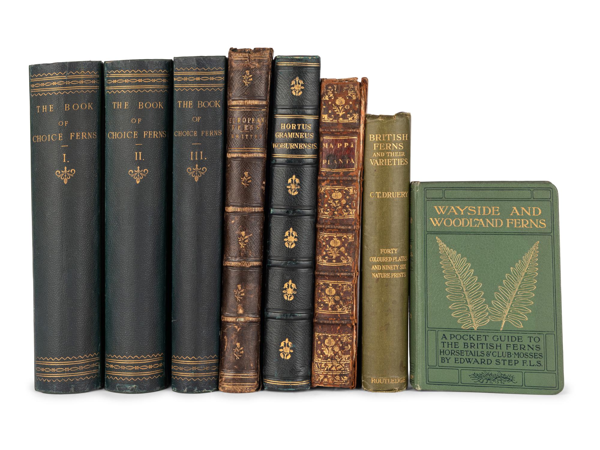 [FERNS & GRASSES]. A group of 7 works, including: