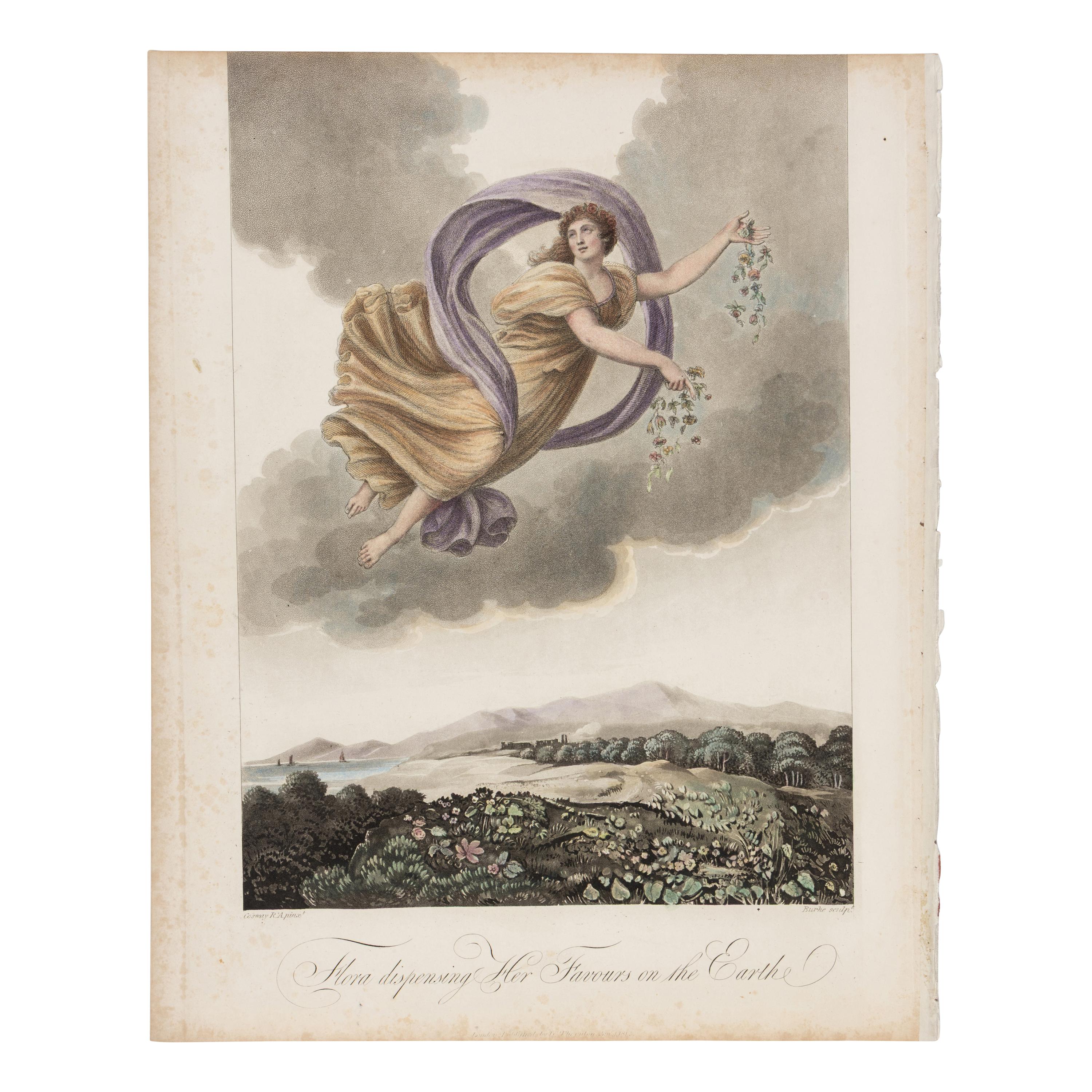 [Natural History] Thornton, Robert John. Group of 18 botanical plates from the 1812 quarto edition of "Temple of Flora"