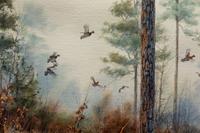 Quail in Pine Forest