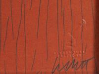 Vertical Lines Not Straight Not Touching on Color (plate numbers 1, 2, and 5 from the portfolio of six)