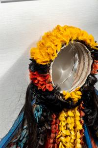 A Kayapo or Rikbaktsa Feather Headdress