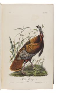 AUDUBON, John James (1785-1851). The Birds of America, from Drawings Made in the United States and their Territories . New York: J.J. Audubon; Philadelphia: J.B. Chevalier, [1839-] 1840-1844.