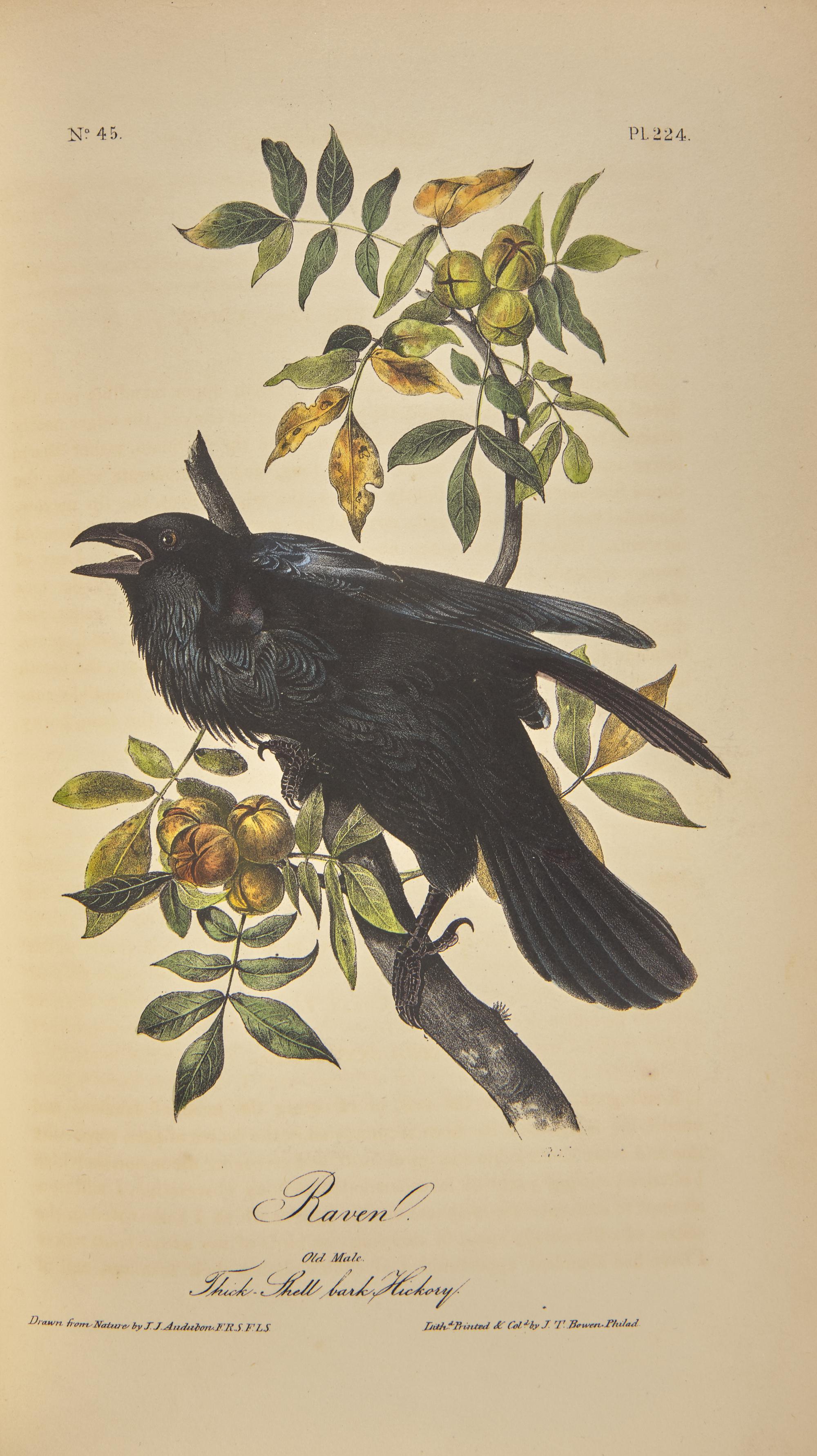 [Natural History] Audubon, John James. The Birds of America, From Drawings Made in the United States and Their Territories