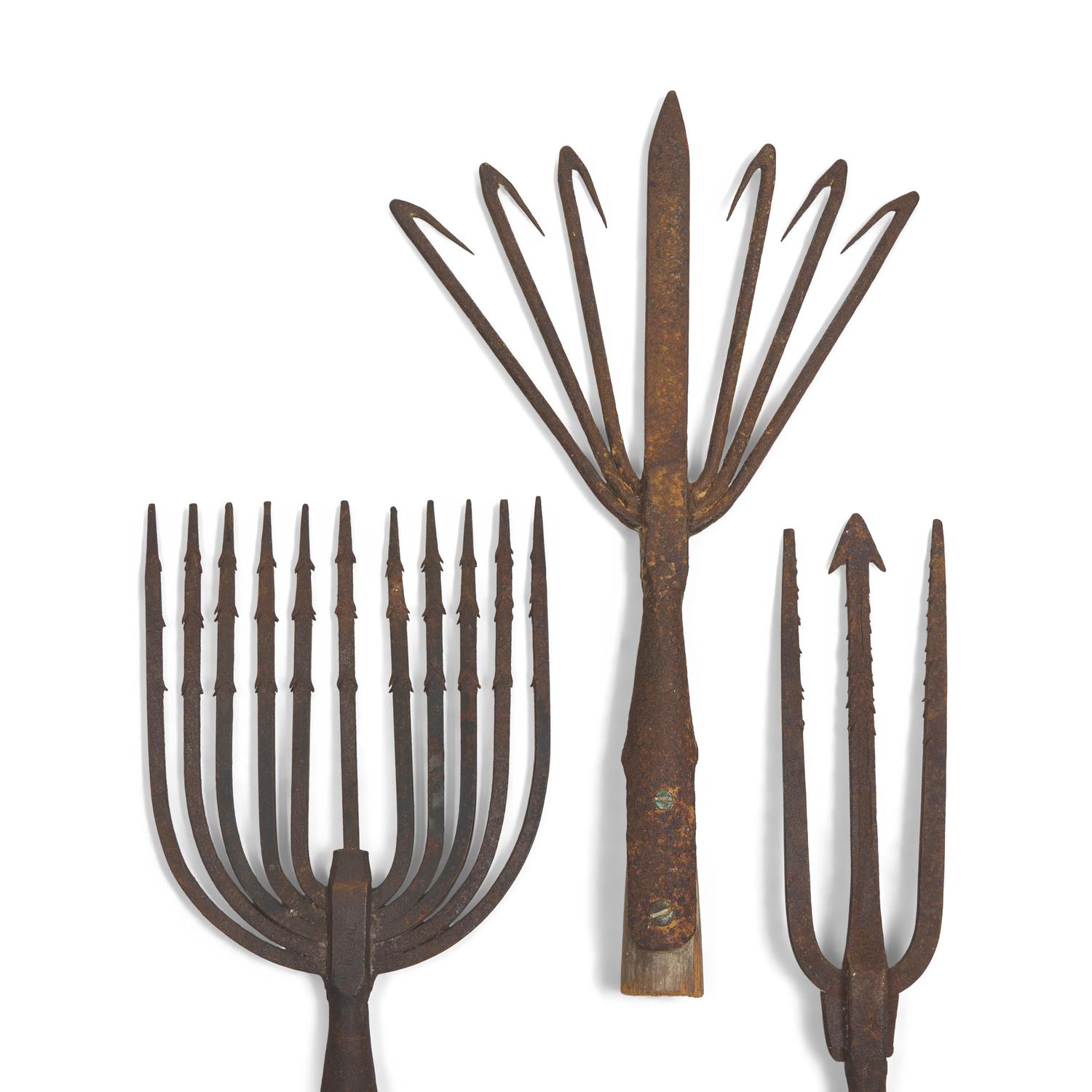 A Collection of Twenty-One Wrought Iron Eel Forks and Whaling Implements