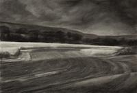 Plowed Field