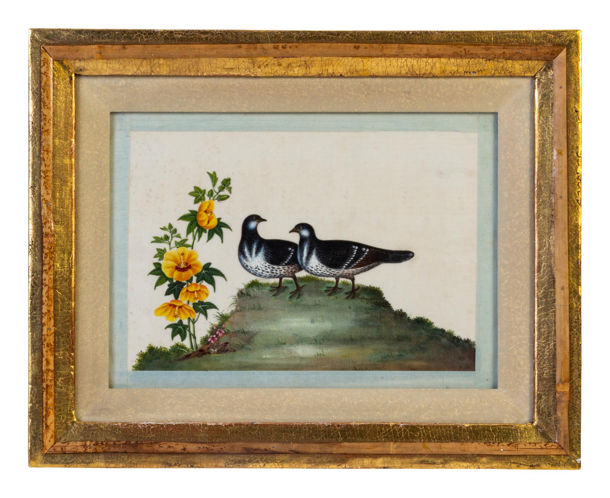 Seven Chinese Export Ornithological Scenes on Pith