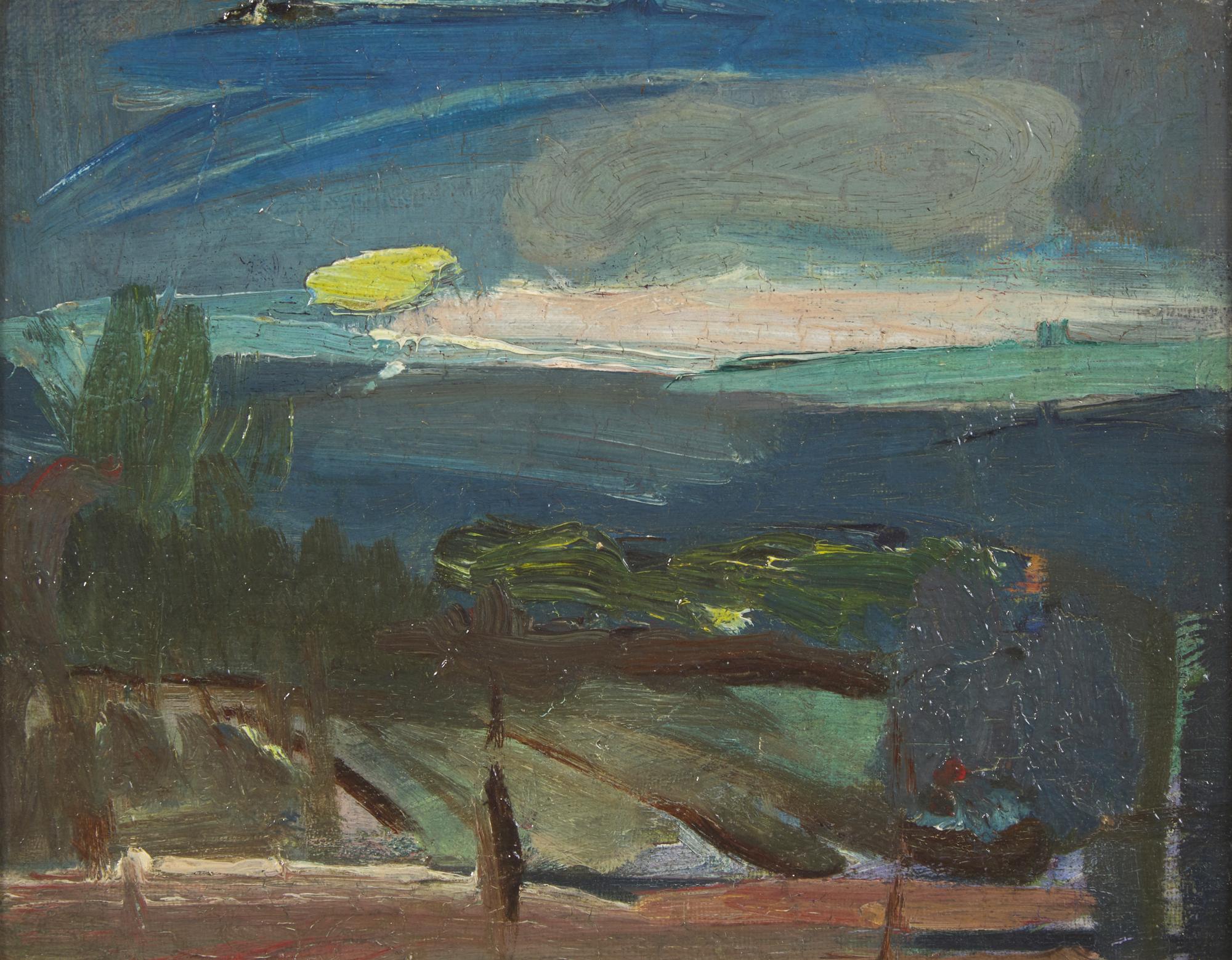 Midnight Landscape