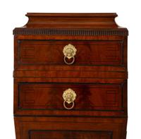 A Pair of Regency Mahogany Pedestal Cabinets