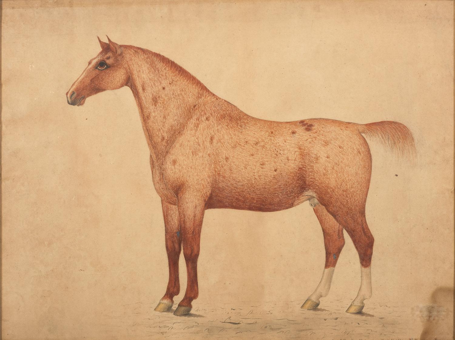 John Bradley (British/American, 19th century)