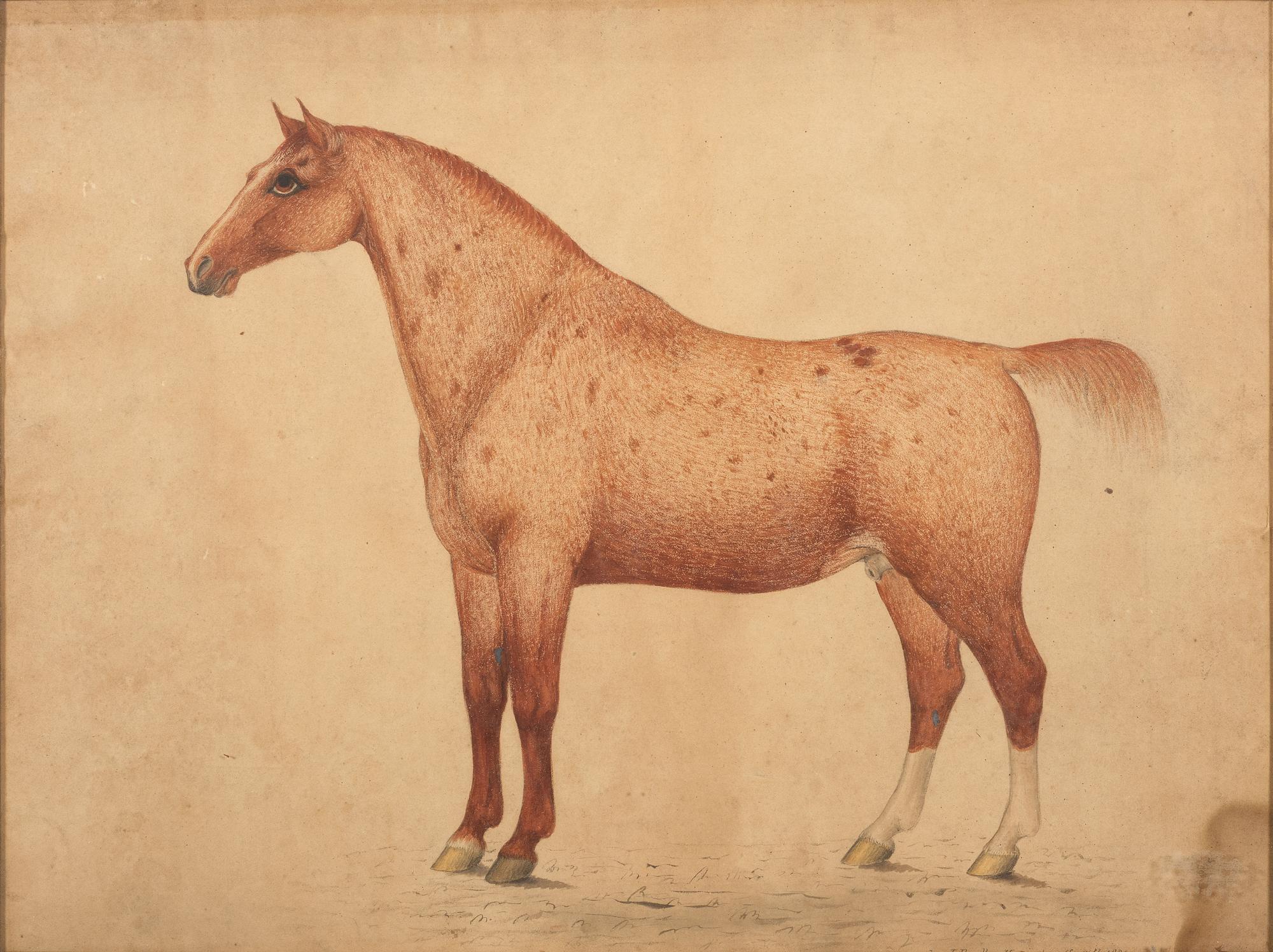John Bradley (British/American, 19th century)