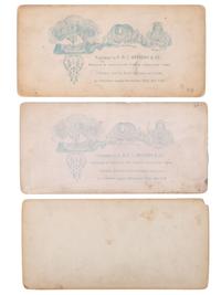 [EARLY PHOTOGRAPHY]. A group of approx. 95 stereoviews highlighted by images of US presidents, views in and around Washington, DC and Mount Vernon, and African American and female subjects.