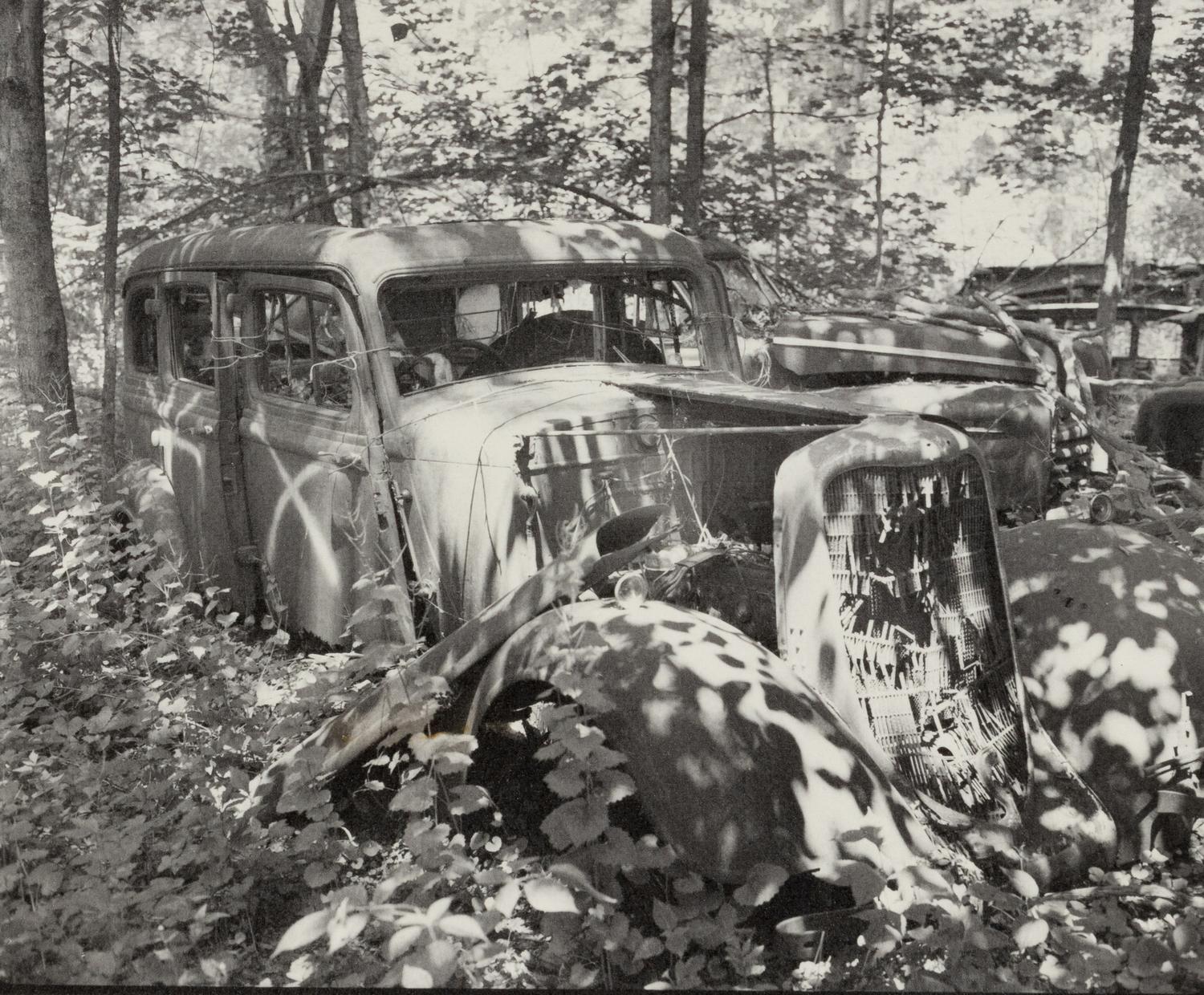 A group of fourteen photographs