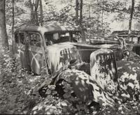 A group of fourteen photographs