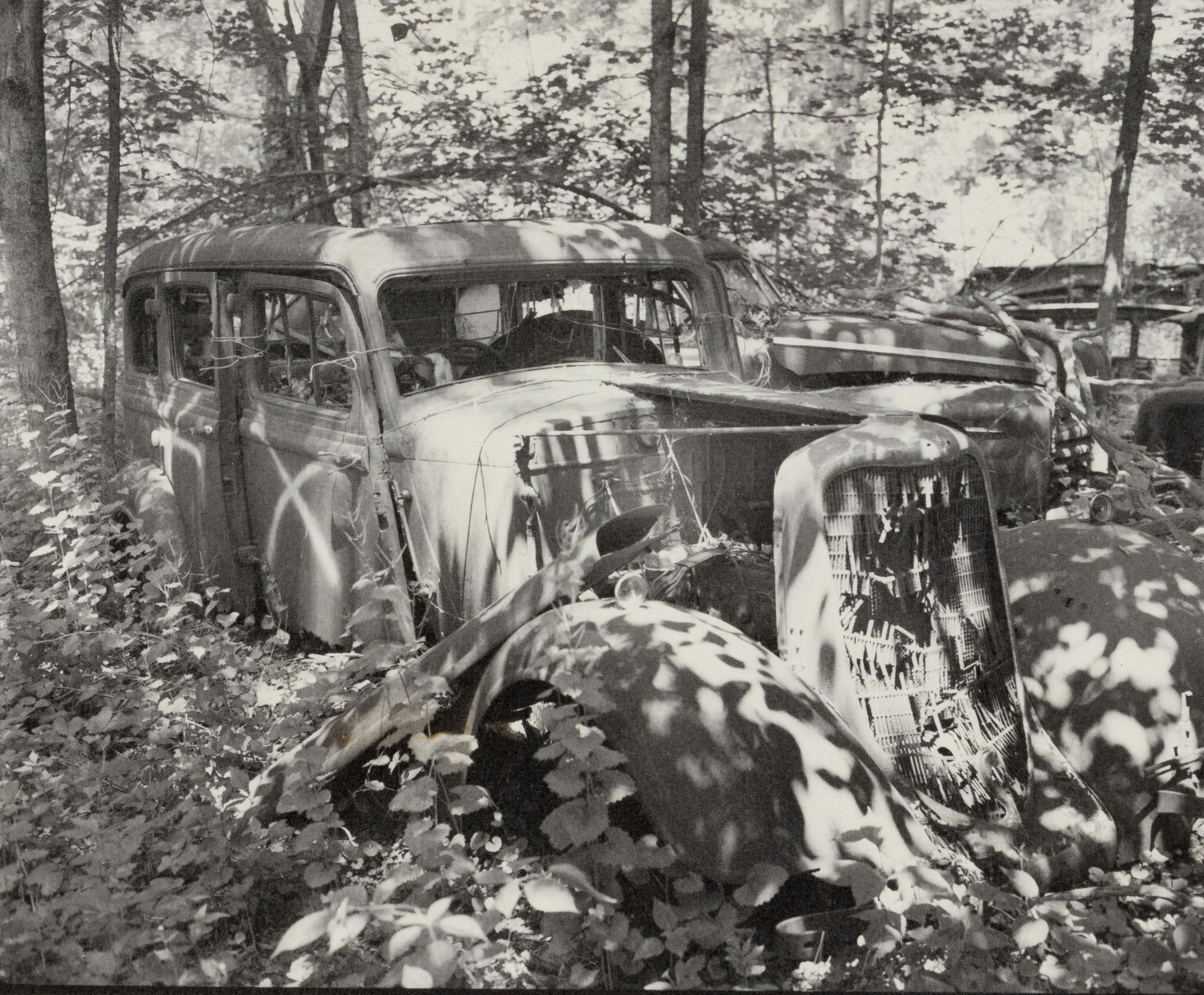A group of fourteen photographs