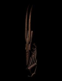 A Bamana Wood Antelope (Chiwara)