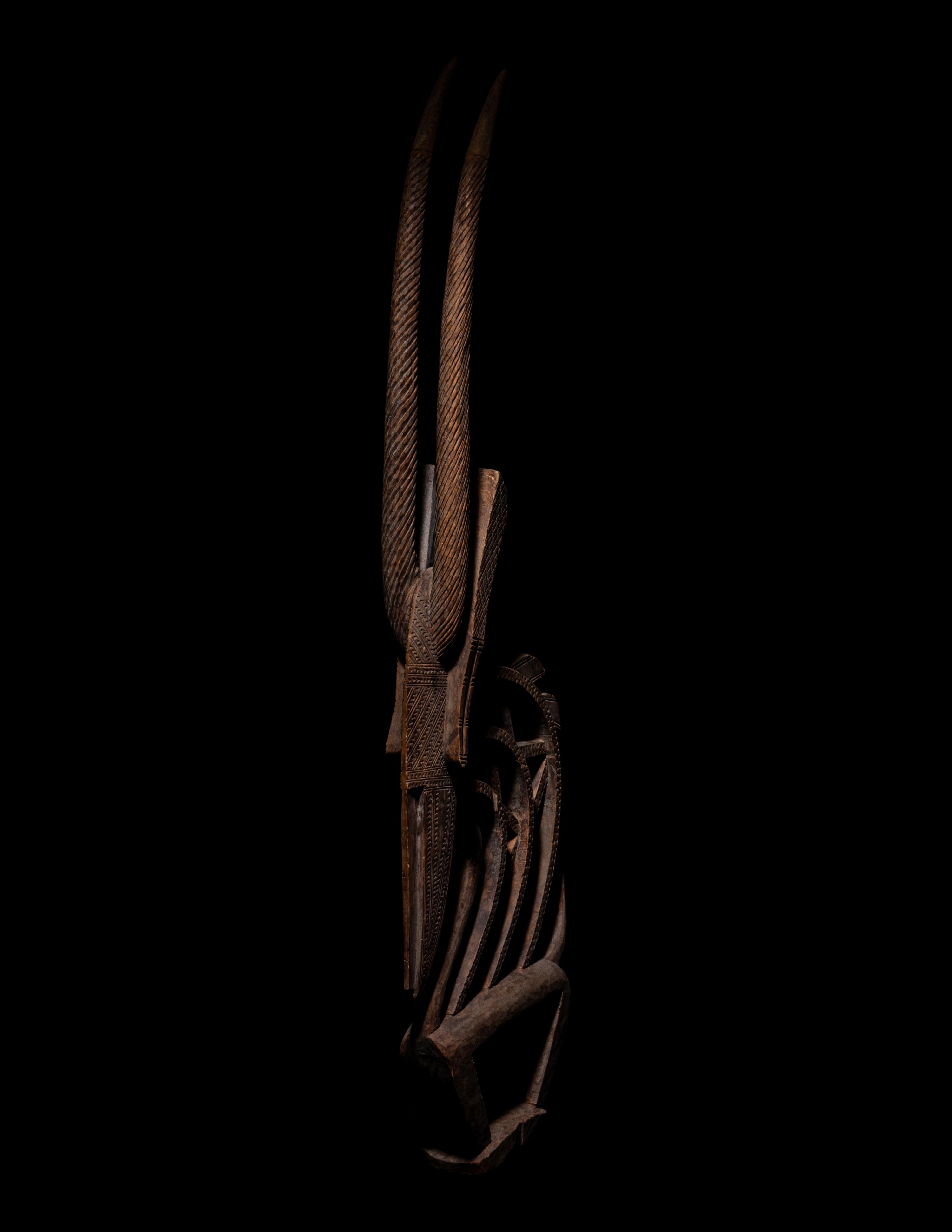 A Bamana Wood Antelope (Chiwara)
