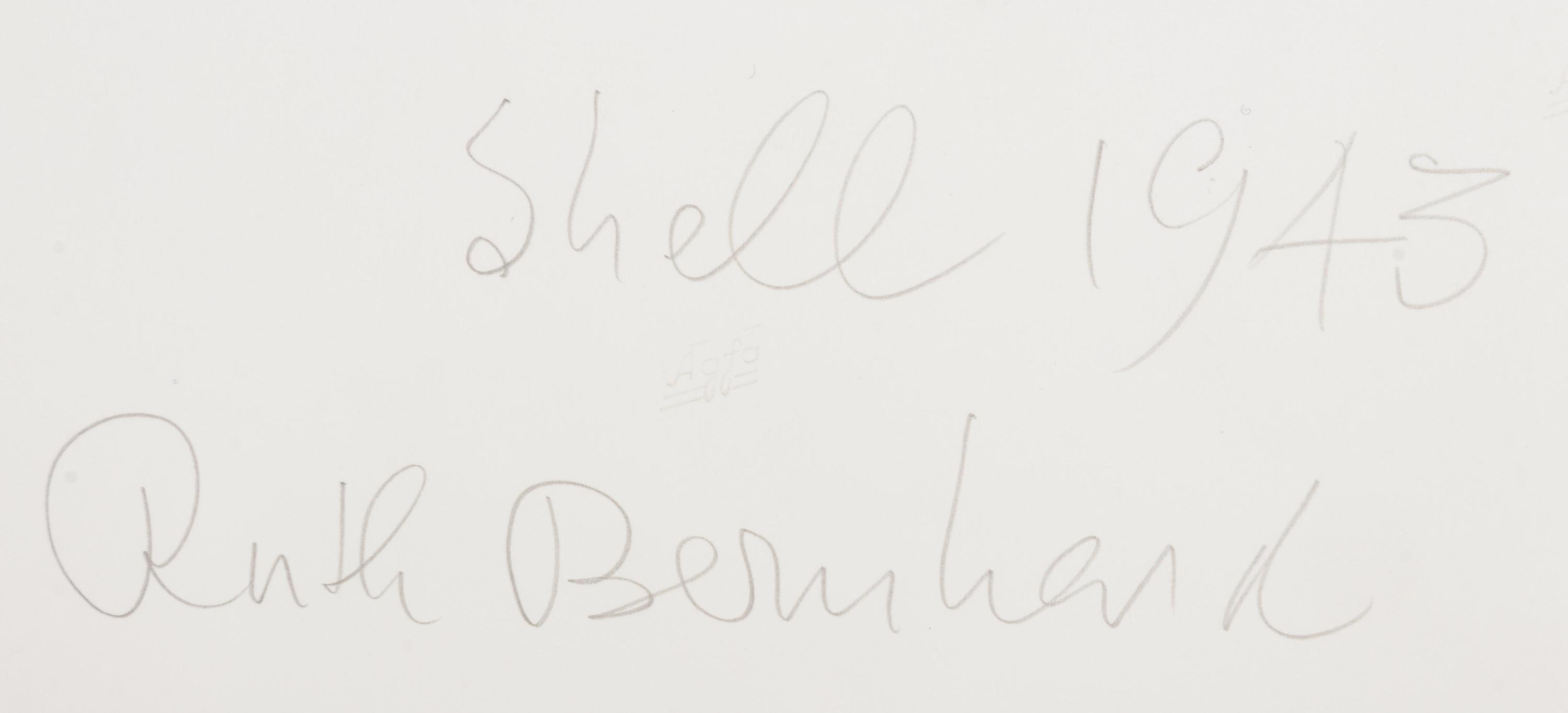 Shell