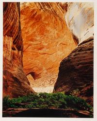 Glen Canyon (complete portfolio of 10)