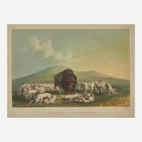 George Catlin (American, 1796-1872) Catlin's North American Indian Portfolio: Hunting Scenes and Amusements of the Rocky Mountains and Prairies of America