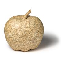 Jiri Kolář (Czech, 1914-2002) — Old Apple, 1965