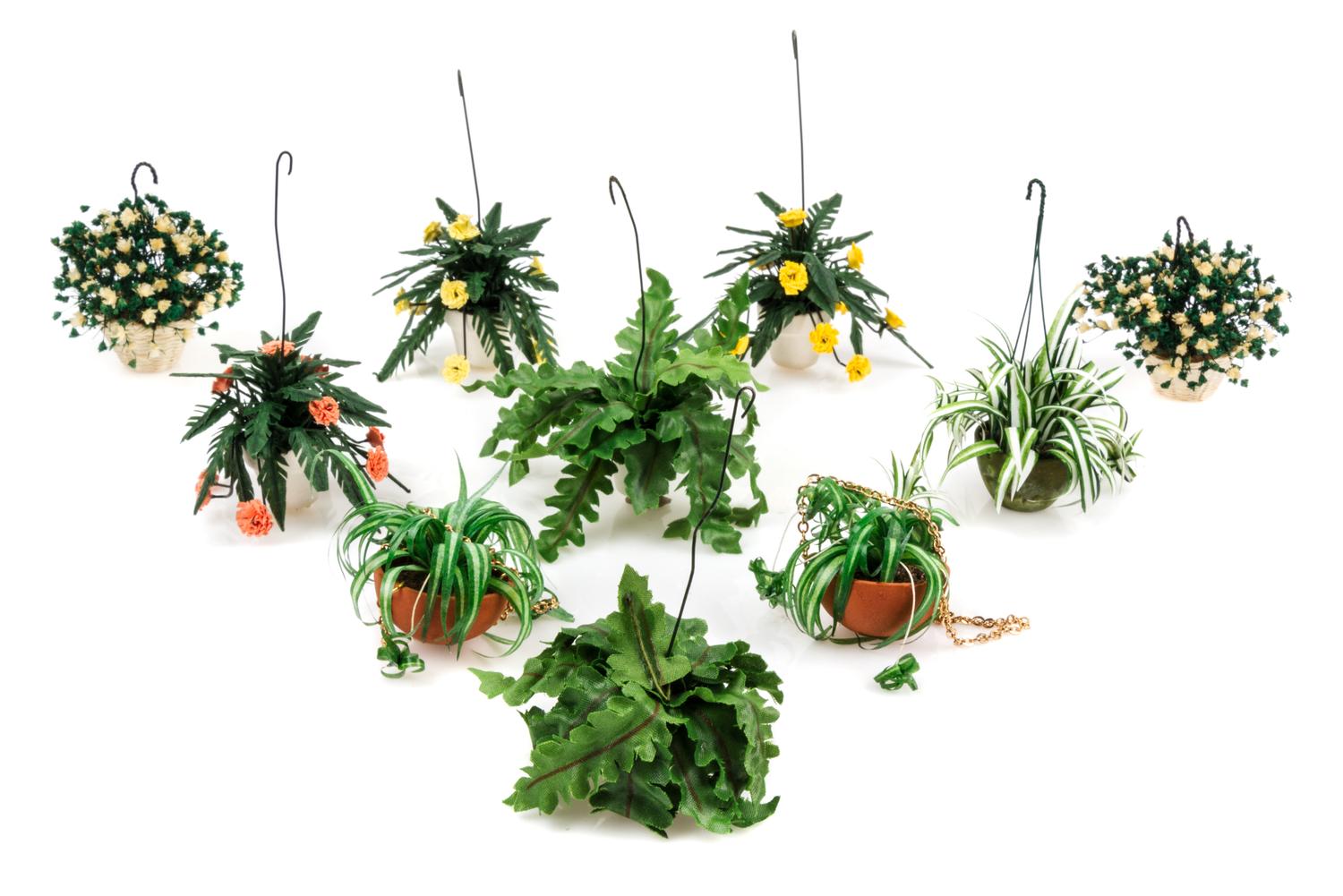 Ten Models of Hanging Plants Height of display case 3 1/4 inches.