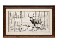Buck in Willows