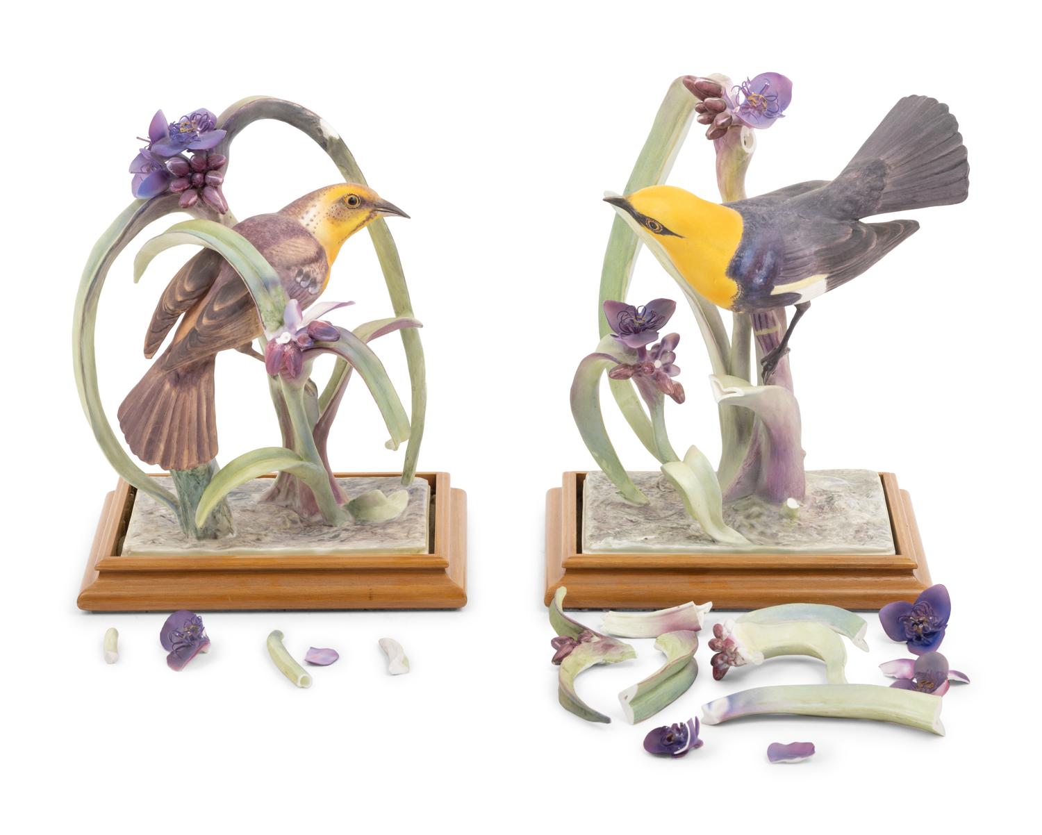 A Pair of Royal Worcester Dorothy Doughty Yellow Headed Blackbirds and Spiderwort Groups