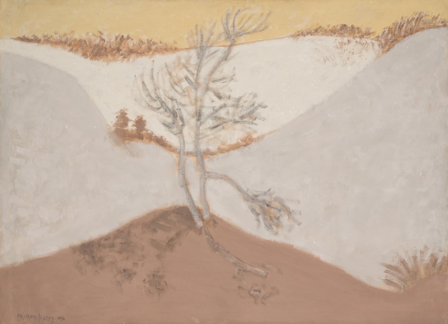 Edge of Dunes , 1956
