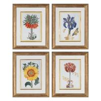 A Set of Four Botanical Prints