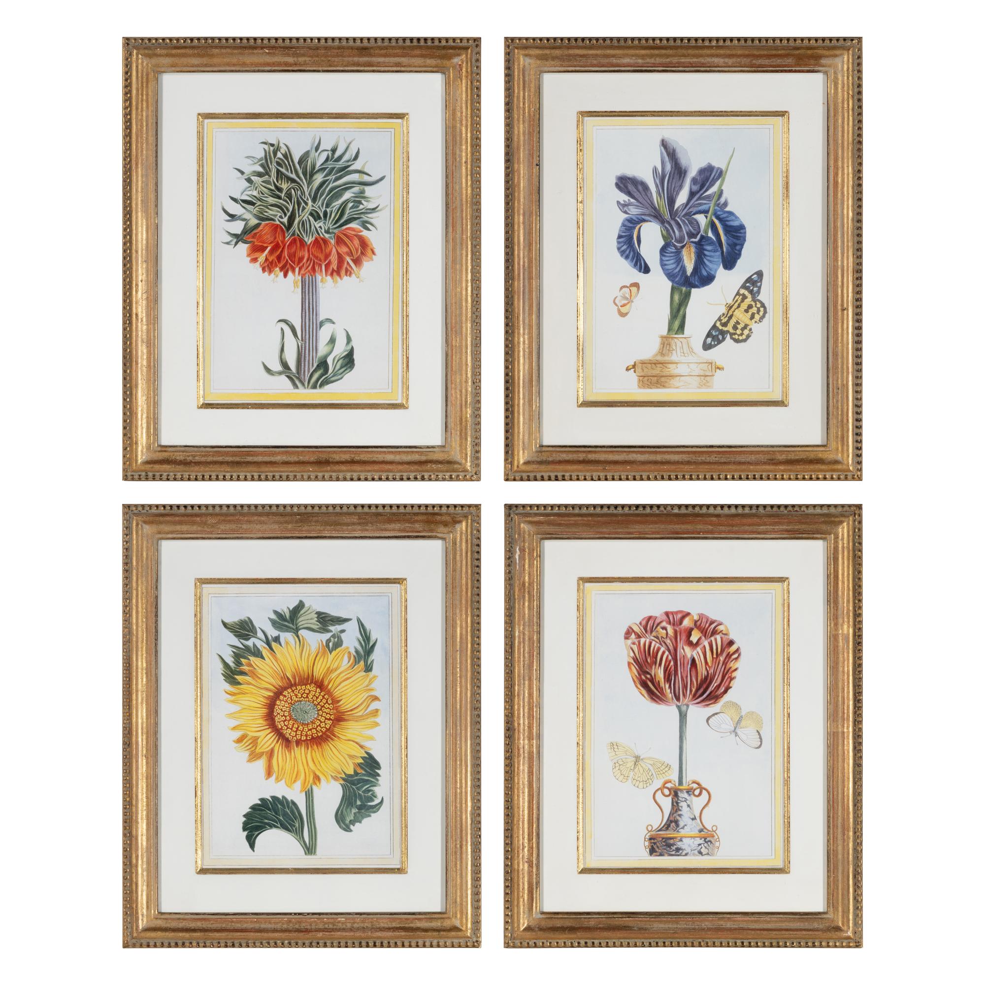 A Set of Four Botanical Prints