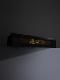 Untitled ( from Truism series)