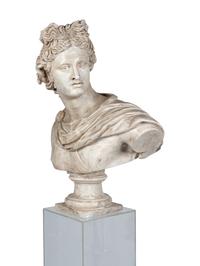 A Terracotta Bust of the Apollo Belvedere and an Acrylic Pedestal