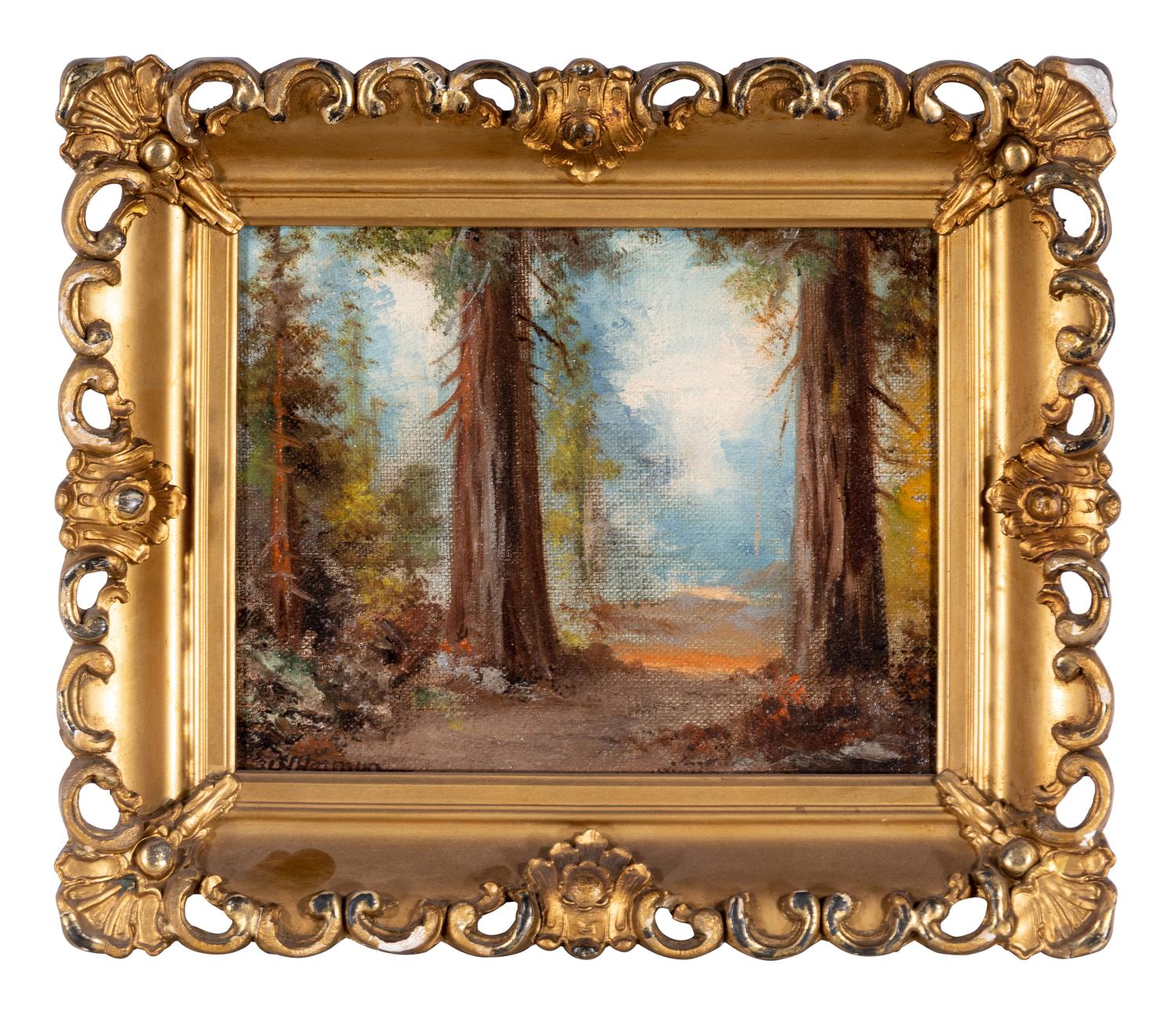 Forest Path